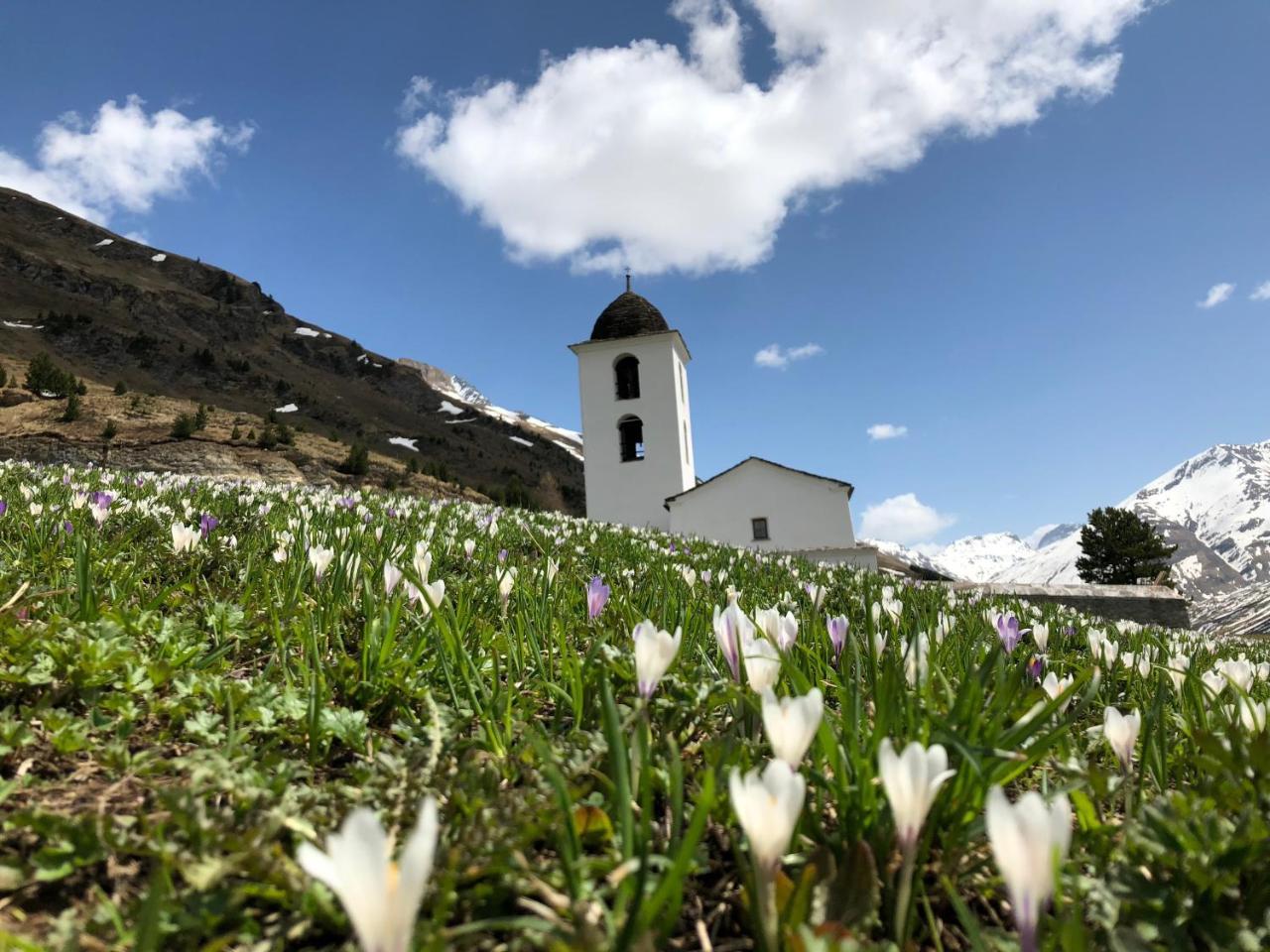 Hotel Capetta Avers